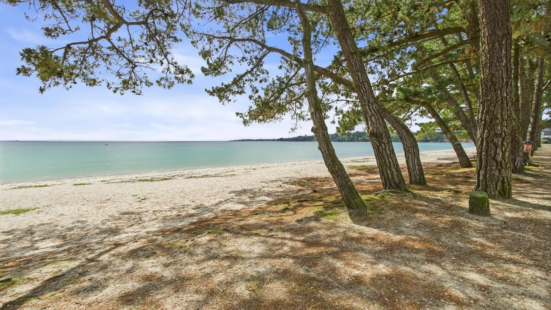 Daire Balcon Vue Mer Et Piscine Pour 4 Personnes Fouesnant